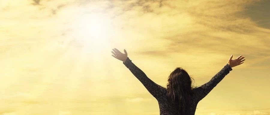 胡言｜国产CFD软件的困境-析模界