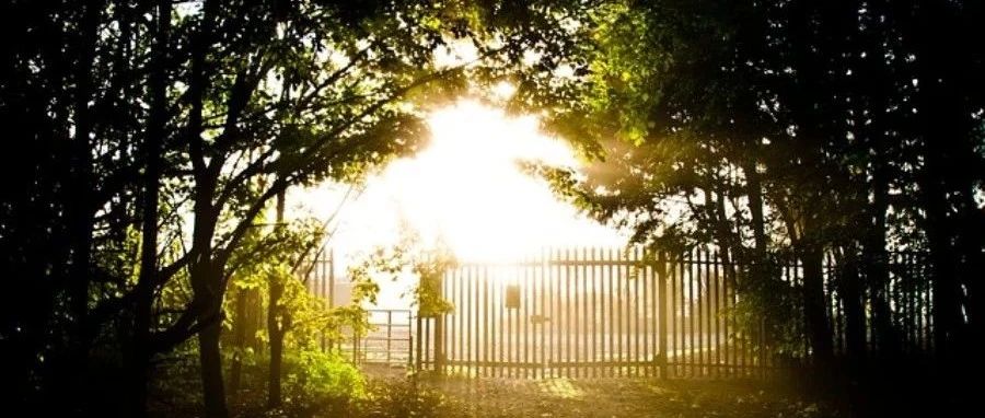 DPM｜01 颗粒模拟及颗粒运动-析模界