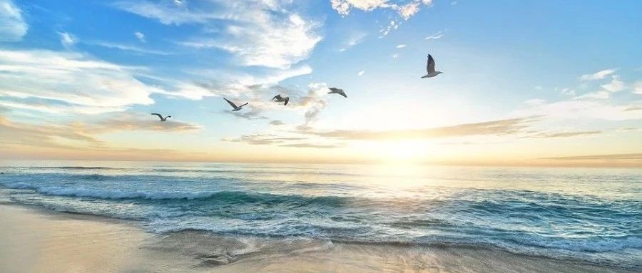 OpenFOAM|08 第一个case-析模界