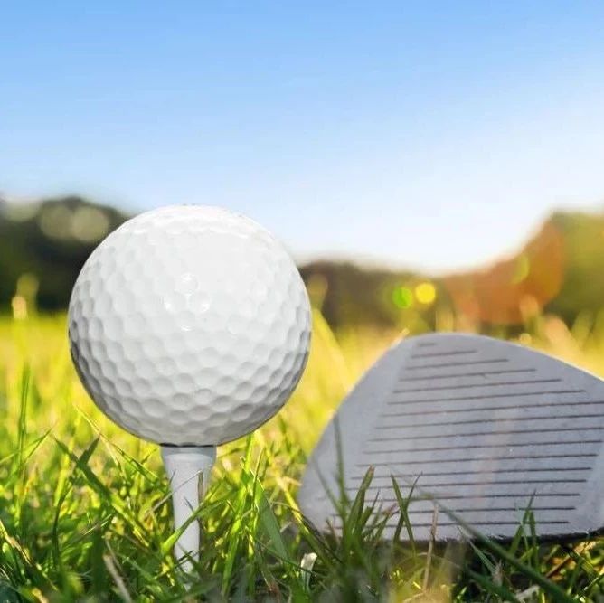 SCDM网格|T型管-析模界