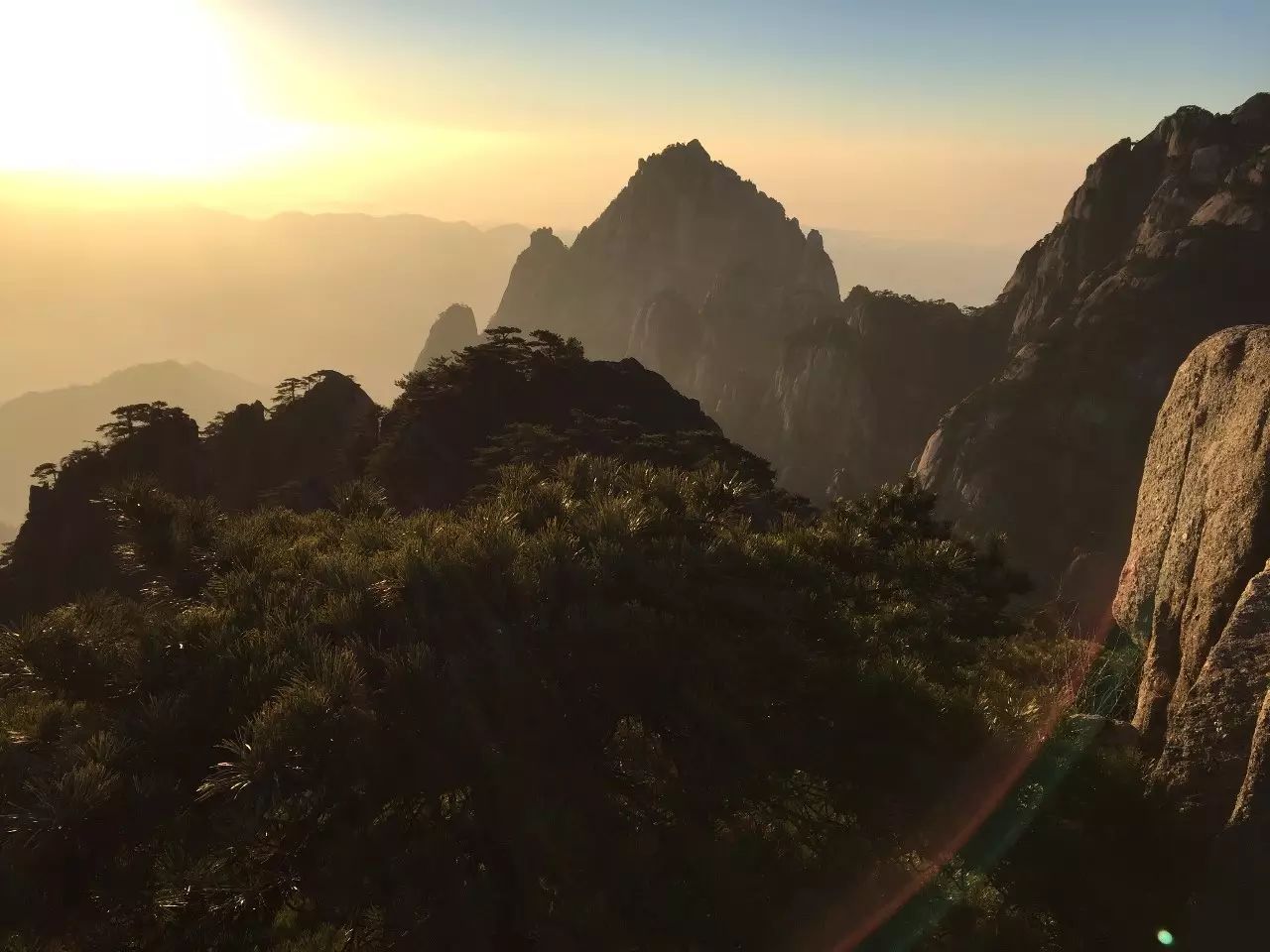 写软件的是被冤死的-析模界