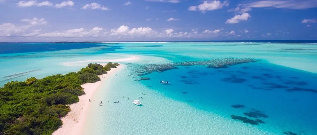 解决ANSYS 2022R2的1055端口占用问题-析模界