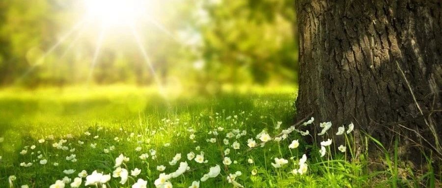 Fluent UDF｜EX09 流化床-析模界