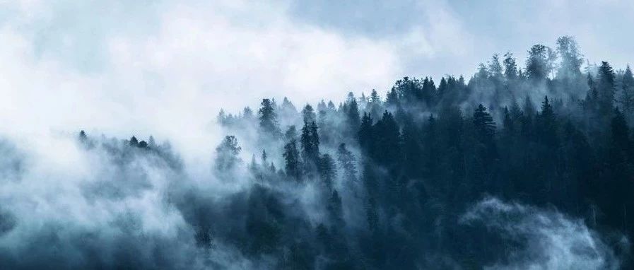 Fluent｜喷雾蒸发-析模界