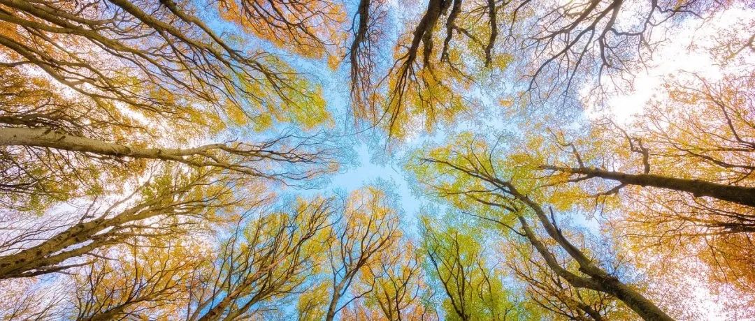 STAR CCM+案例｜静态混合器-析模界