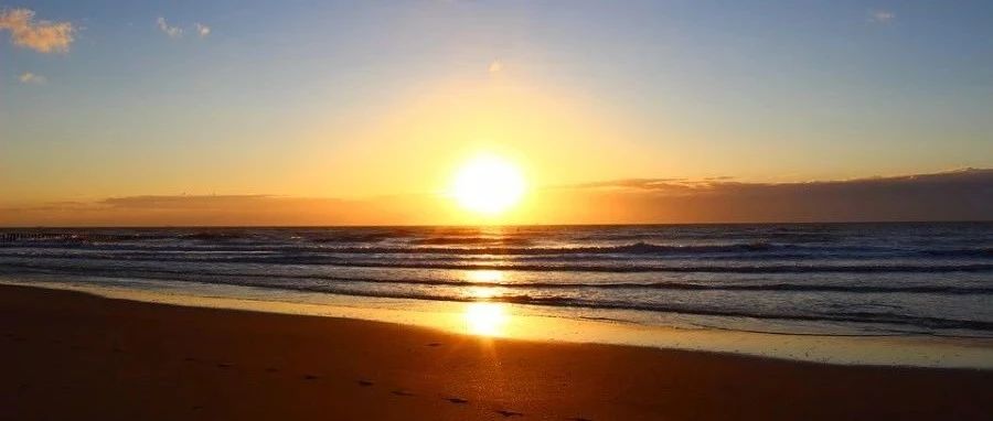 【Polyflow】13:搅拌槽-析模界