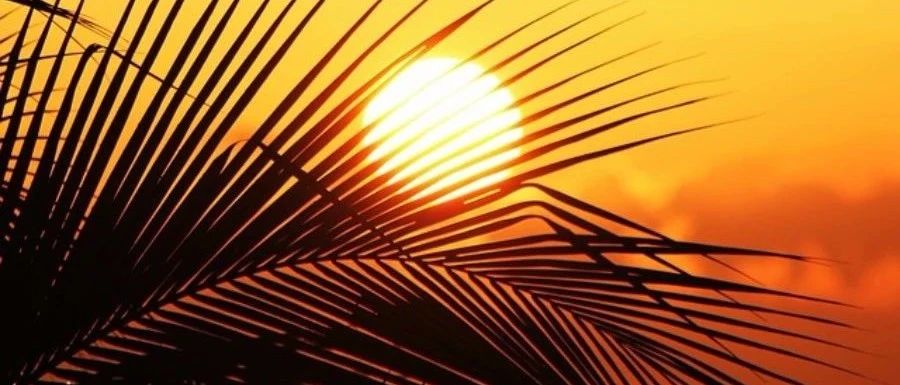 Fluent｜流化床-析模界