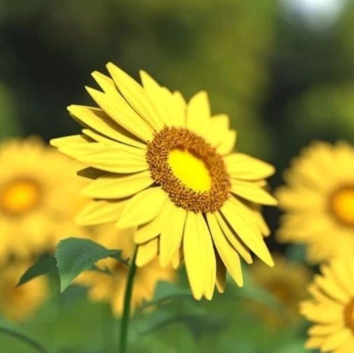 Fluent表达式应用案例-析模界