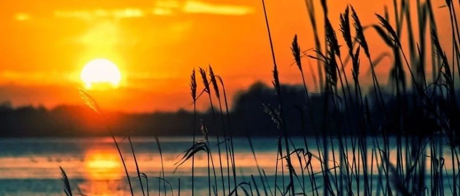 OpenFOAM教程｜03 分块网格-析模界