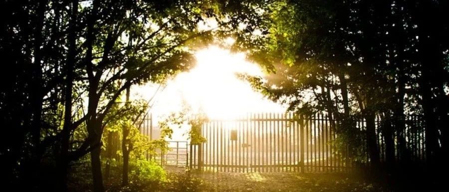 CFX验证|07 非牛顿流动-析模界