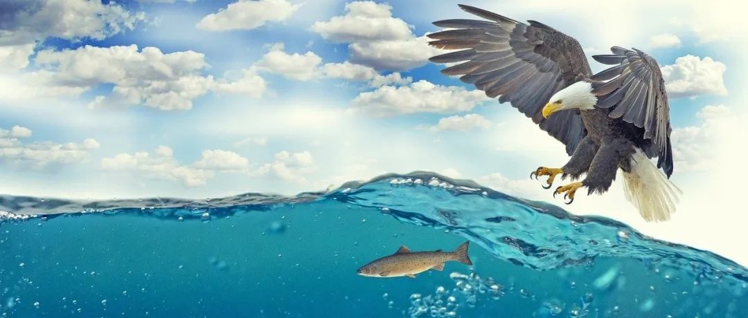 PyMAPDL的一个小问题处理-析模界