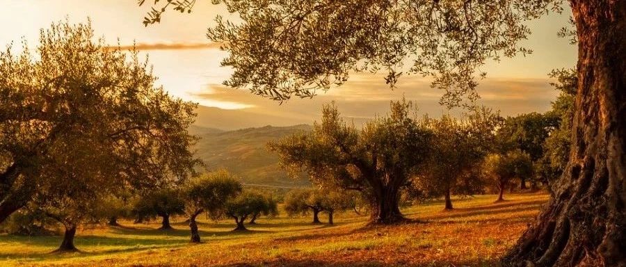 凝固熔化｜01 基础理论-析模界