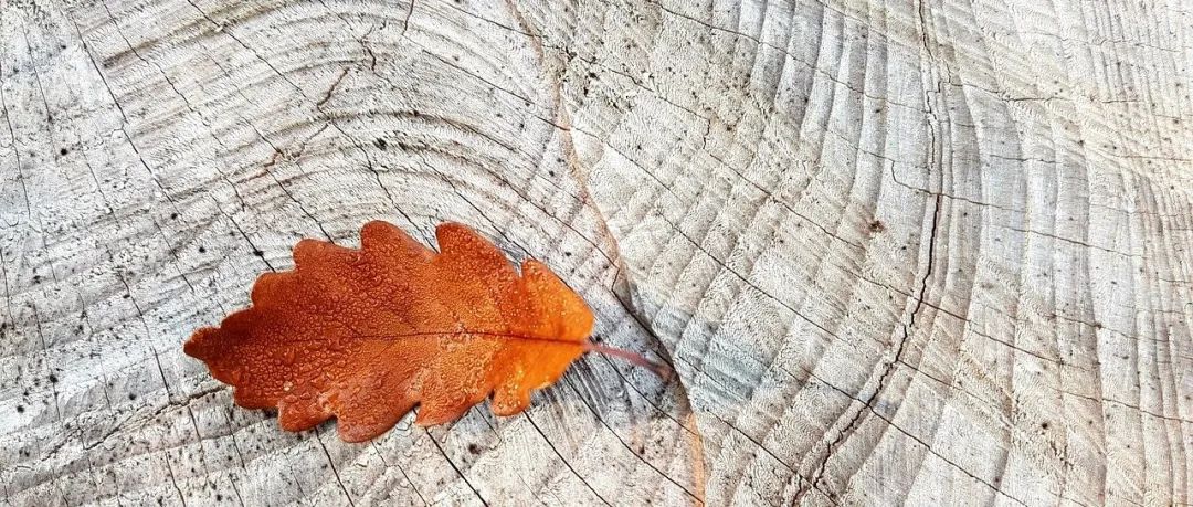 STAR CCM+案例｜多孔介质-析模界