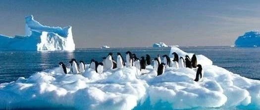 FLUENT奶油融化过程模拟-析模界