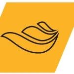 溯源 | Fluent40余载发展回顾，初心不改-析模界