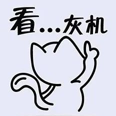 跨声速粘性流绕机翼流动-析模界