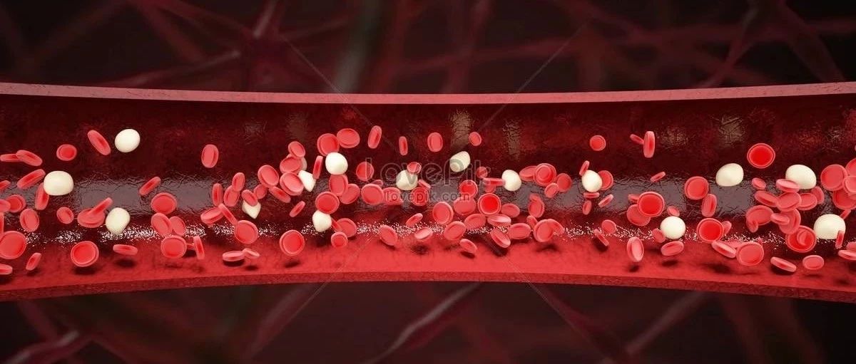 FLUENT血管内血液流动模拟-析模界