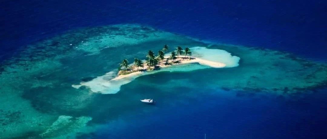 FLUENT移动监测点设置-析模界