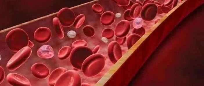 FLUENT喷嘴内血液流动模拟-析模界