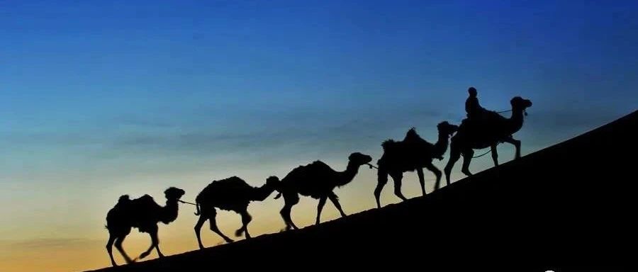 一些CFD资料-析模界