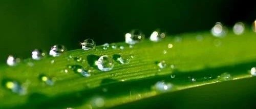 FLUENT消声器中气体流动模拟-析模界