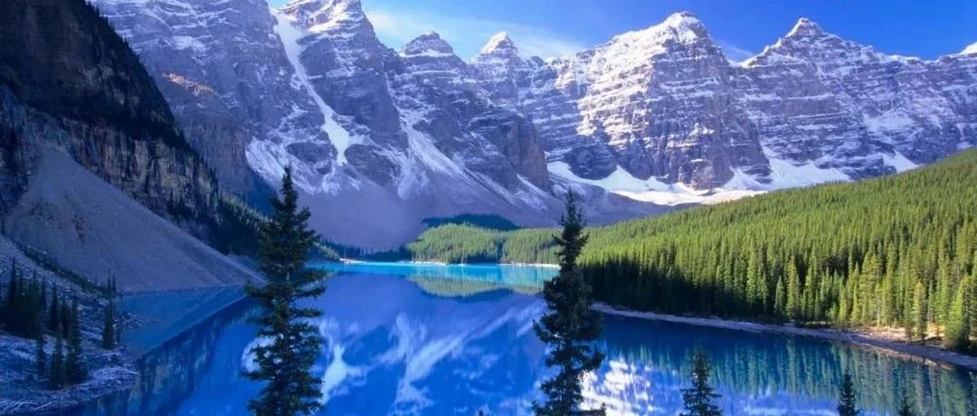 FLUENT柔性振动膜模拟-析模界