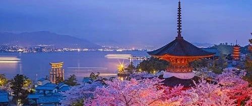 FLUENT飞机投弹模拟-析模界