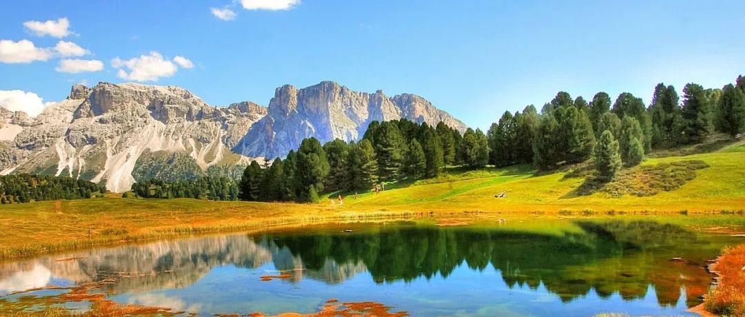 Fluent壳传导模型-析模界