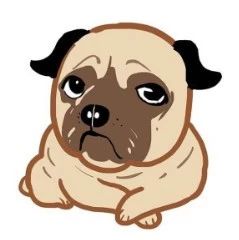 牛顿的单身原因竟然是。。。-析模界