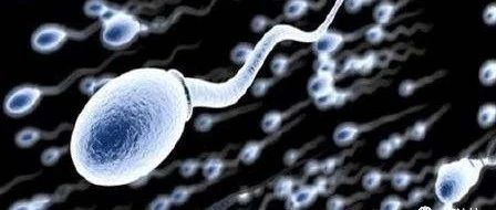 FLUENT微流动模拟-析模界