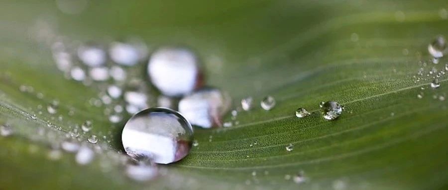 线上|Fluent流固热耦合仿真-析模界