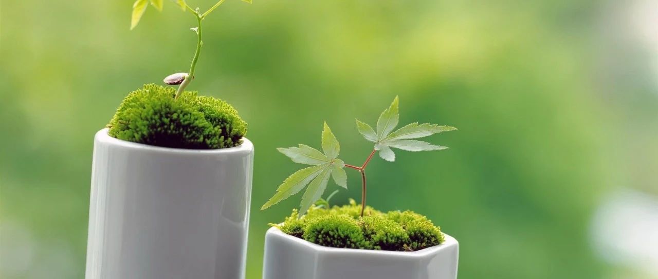 FLUENT化学反应与多孔介质模拟-析模界