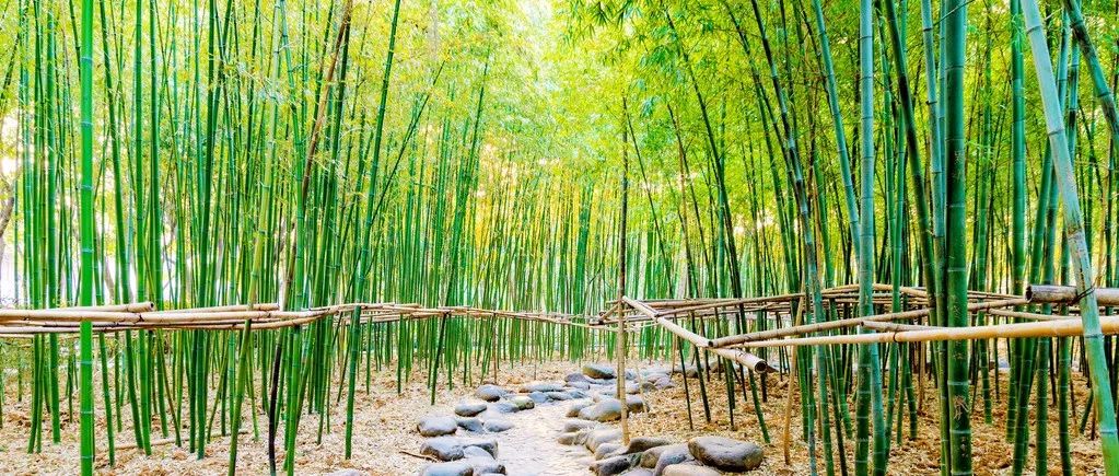 Fluent多相流模型选择方法-析模界