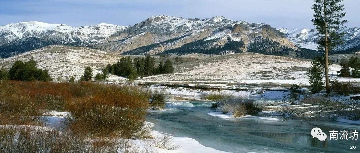 FLUENT曝气反应器模拟-析模界