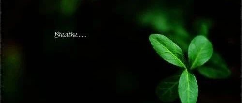 FLUENT人体呼吸扩散模拟-析模界