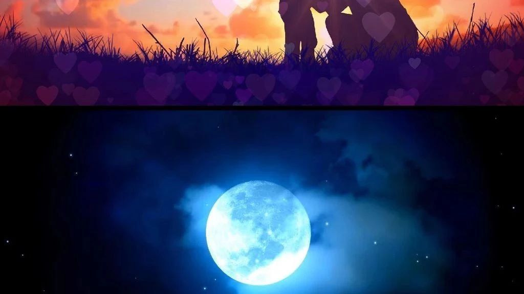 非对称扩散器中的分离湍流流动-析模界