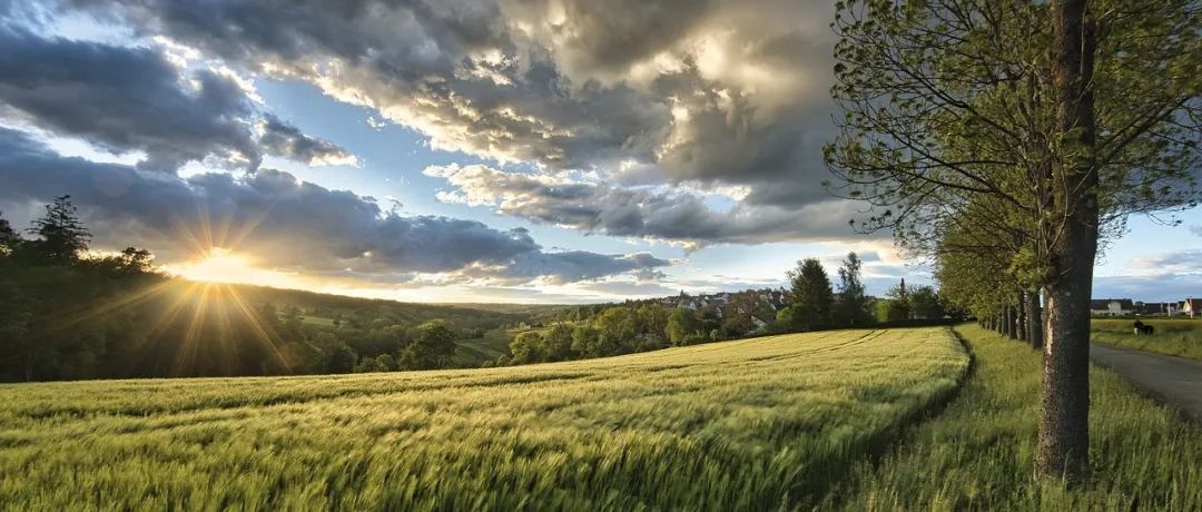 CFD职位薪资统计-析模界