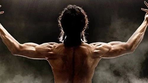 钝板层流分离流动-析模界