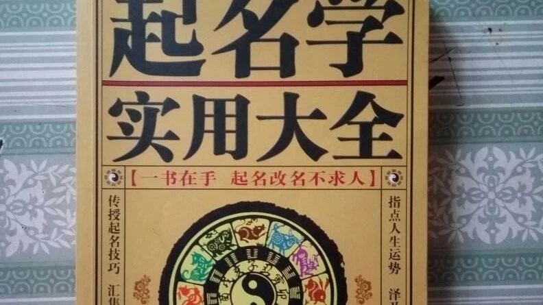 后台阶低雷诺数流动再附着过程模拟-析模界