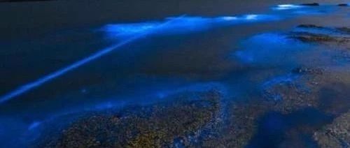 FLUENT微流动模拟2-析模界