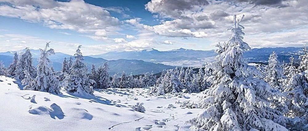 FLUENT阀门关闭气穴现象模拟-析模界