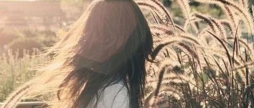 爱ta，就去为ta赢下仿真锦鲤-析模界