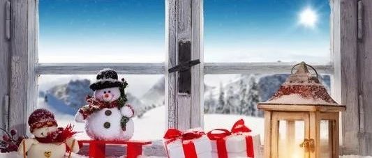 FLUENT圣诞雪橇模拟-析模界