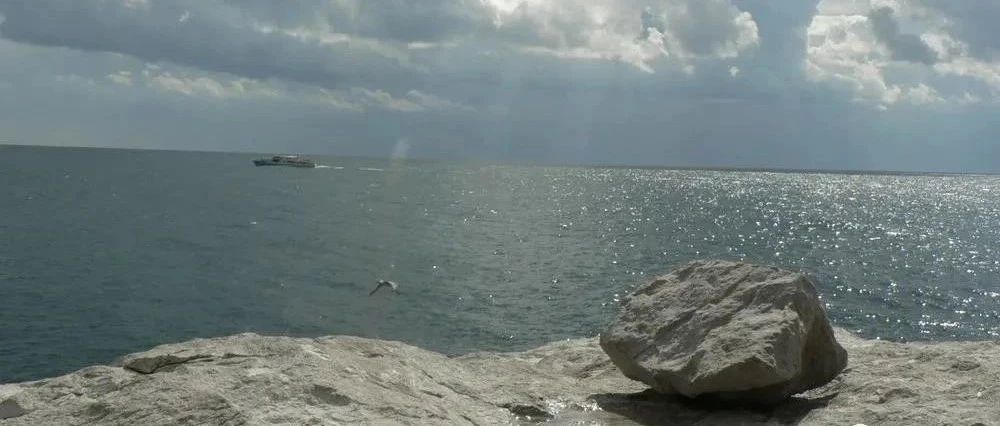 FLUENT内置双向流固耦合模拟-析模界