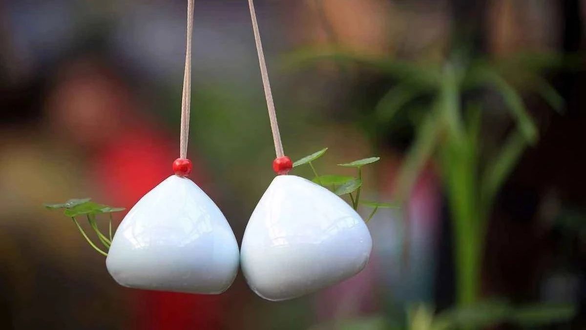 空腔内自然对流-析模界