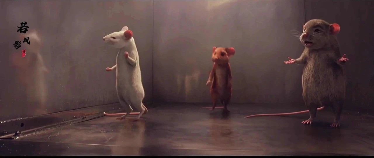 FLUENT耗子尾枝模拟-析模界