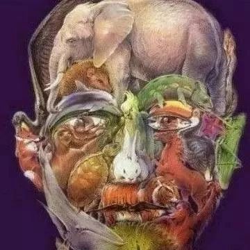 10张神奇动图，看得根本停不下来，慎点！-析模界