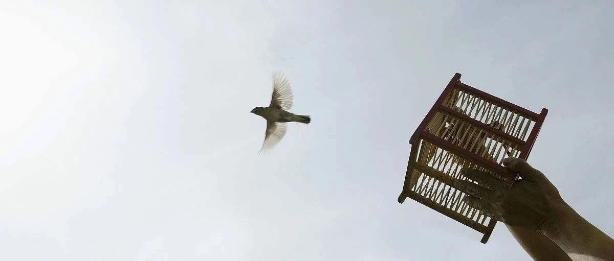 FLUENT高压气体释放模拟-析模界