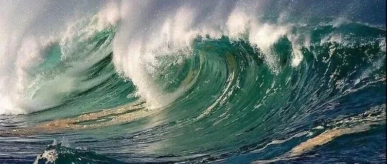 FLUENT油水分离器模拟-析模界