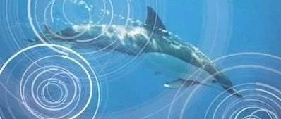 FLUENT气动噪声模拟-析模界